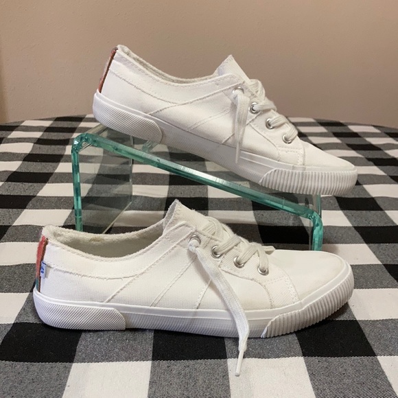 Exc Tommy Bahama White Canvas Sneakers 